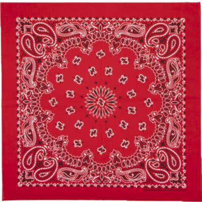 MENS HAV A HANK RED BANDANA-