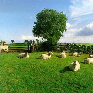 Klf/Chill Out