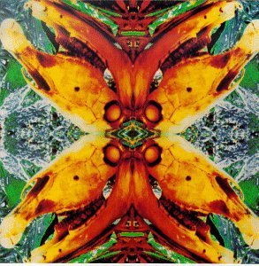 Acid Horse/No Name No Slogan