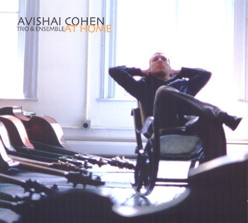 Avishai Cohen/At Home
