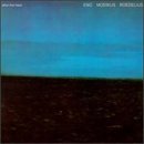 Eno Moebius Roedelius After The Heat 