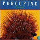 Porcupine/Porcupine