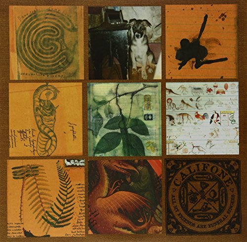 Califone/All My Friends Are Funeral Sin