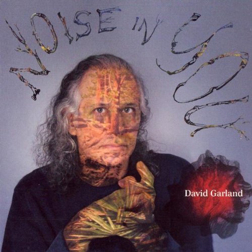 David Garland/Noise In You