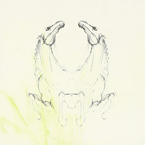My Brightest Diamond/Tear It Down