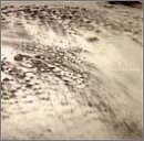 Rivulets/Rivulets