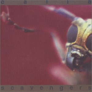Calla/Scavengers
