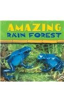 Ted O'Hare/Amazing Rain Forest