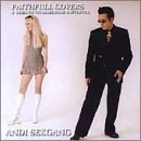ANDI SEX GANG/FAITHFULL COVERS