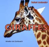 Amelie Von Zumbusch Giraffes 
