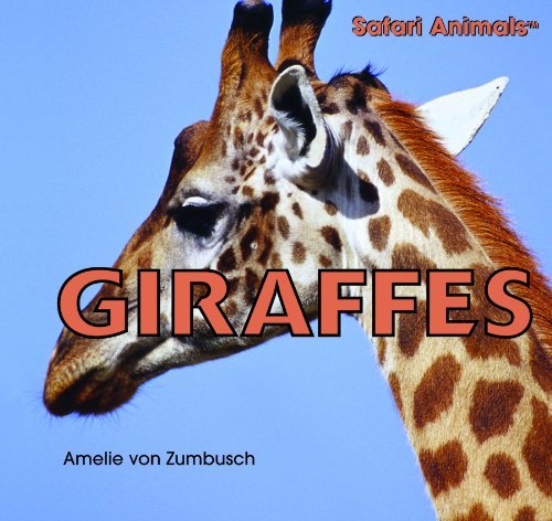 Amelie Von Zumbusch Giraffes 