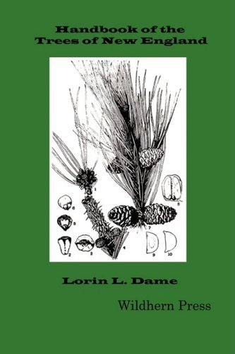 Lorin L. Dame/Handbook of the Trees of New England (1904 Illustr