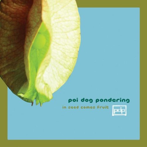 POI DOG PONDERING/IN SEED COMES FRUIT