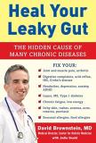 David Brownstein Heal Your Leaky Gut The Hidden Cause Of Many Chronic Diseases 