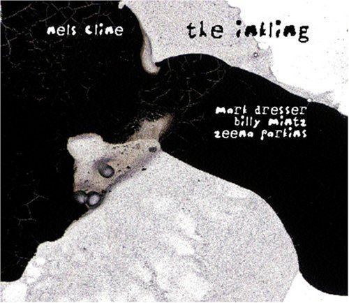 Nels Cline/Inkling