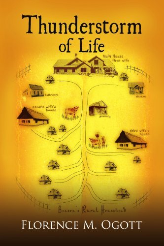 Florence M. Ogott/Thunderstorm of Life