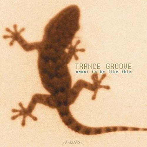 Trance Groove/Meant To Be Like This
