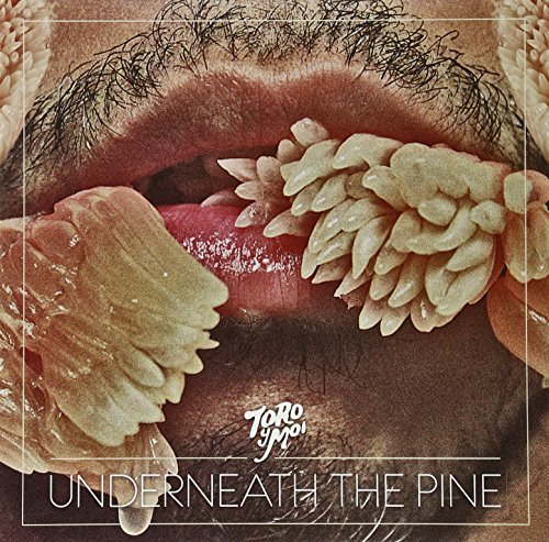 Toro Y Moi/Underneath The Pine
