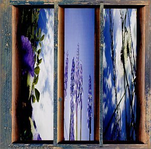 Fernando/Dreams Of The Sun & Sky