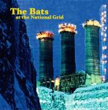 Bats At The National Grid 