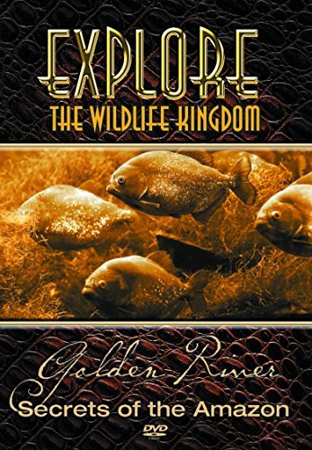 Explore The Wildlife Kingdom S/Amazon-Secet@Clr@Nr