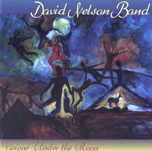 David Nelson Band Visions Under The Moon 