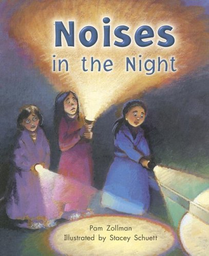 Pam Zollman Noises In The Night 