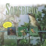 Songbirds Natural Sounds Of The Wilderne 