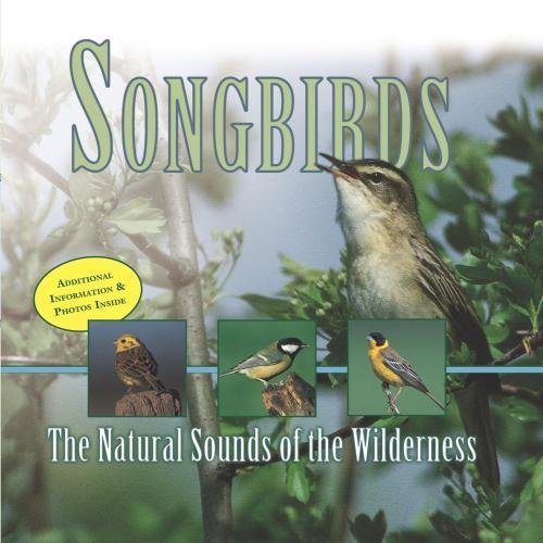 Songbirds Natural Sounds Of The Wilderne 
