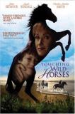 Touching Wild Horses Seymour Rendall Smith Clr Pg 