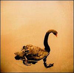 Crooked Fingers/Crooked Fingers