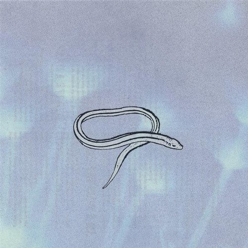 Crooked Fingers/Bring On The Snakes