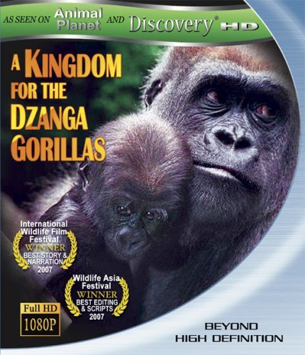 Kingdom For The Dzanga Gorilla/Kingdom For The Dzanga Gorilla@Ws/Blu-Ray@Nr