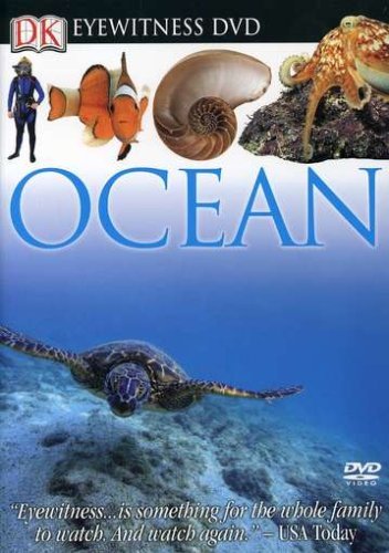 Ocean Dk Eyewitness Nr 