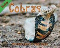 Michelle Lynch Cobras 