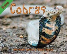 Michelle Lynch Cobras 