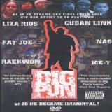 Big Pun Still Not A Player Big Pun Clr Nr 
