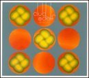 Club D'Elf/As Above/Live At The Lizard Lo@2 Cd Set