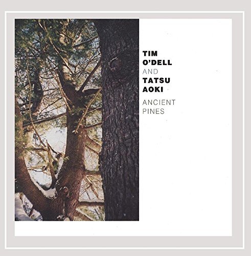 O'dell Aoki Ancient Pines 