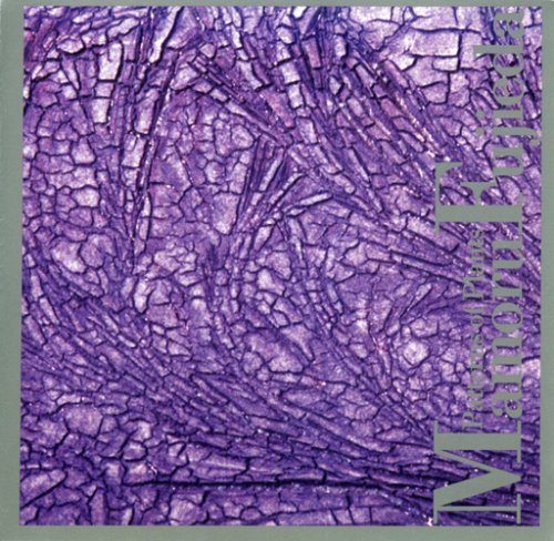 M. Fujieda/Patterns Of Plants@Nishi/Maruta/Teycheney/Ozawa