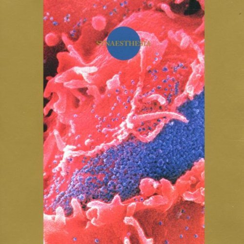 Death Ambient/Synaethesia