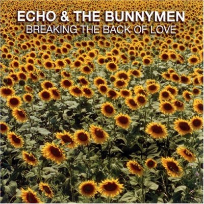Echo & The Bunnymen/Breaking The Back Of Love