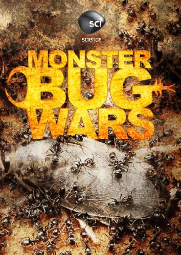 Monster Bug Wars Monster Bug Wars Nr 