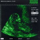 Wicked Maraya/Cycles