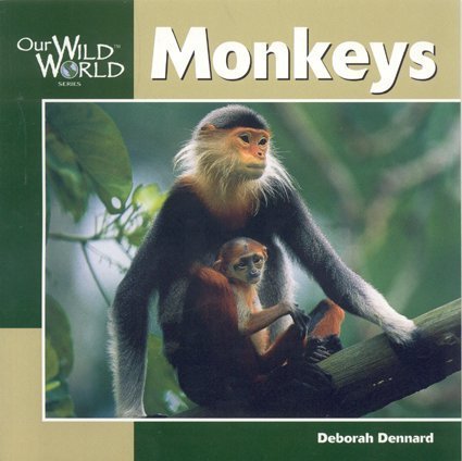 Deborah Dennard Monkeys Osi 