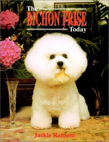 Jackie Ransom Bichon Frise Today The 
