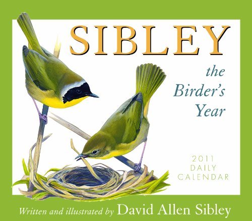 David Allen Sibley/Sibley Daily Calendar@The Birder's Year@2011