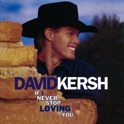 David Kersh/If I Never Stop Loving You@Cd-R