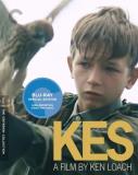 Kes Kes Pg13 Criterion 