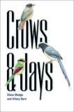 Steve Madge Crows And Jays 
